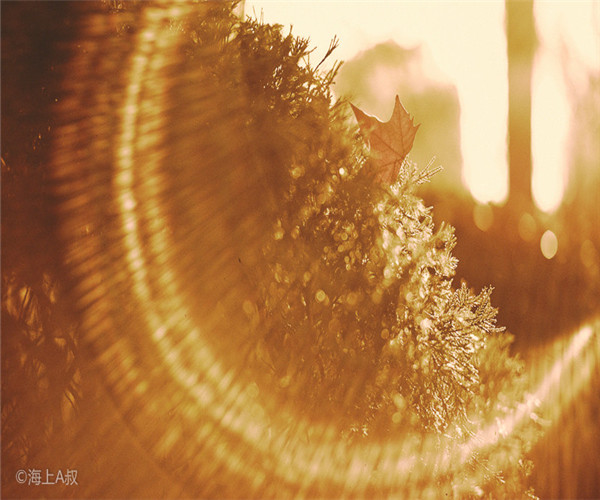 為什么大家喜歡在4月份裝修房子呢？